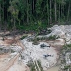 아마존,파괴,결과,브라질