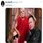 도지코인,가격,암호화폐,머스크,거래,대비