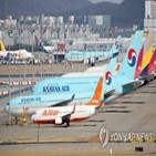 지난해,화물,영업손실,매출,국내선,올해,적자,운항,화물기