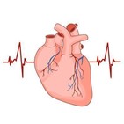 심방세동,위험,연구팀,심장
