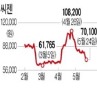 씨젠,최근,대한,성장성,주가,신사업,무상증자,진단키트