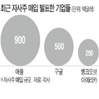 자사주,매입,기업,지난해,발표,규모,미국