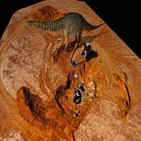 공룡,발견,화석
