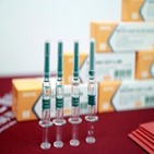 백신,인도네시아,확진