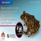 개구리,에콰도르