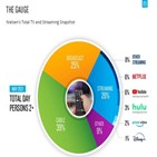 스트리밍,점유율,시청,공중파