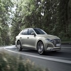 지난해,상반기,전년대비,5사