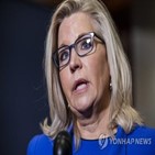 체니,조사,의사당,의원