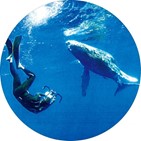 동사,의미,문장