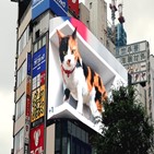 고양이,사람,도쿄