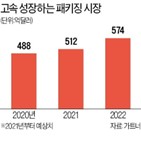 패키징,반도체,기술,패키지,일본,이비덴,기판