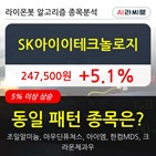 SK아이이테크놀로지,보이,시각