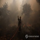 산불,유럽,화재,이상,그리스,이탈리아,기후변화