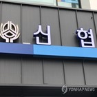 대출,제한,부동산,유동성