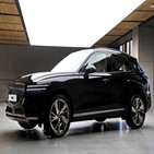 판매,증가,현대차