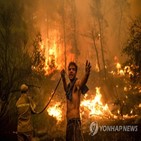 산불,지역,대피,가장,피해,화재,진압,발생해
