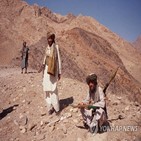 알카에다,탈레반,아프간,테러
