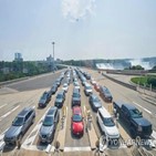 미국,국경,연장,멕시코