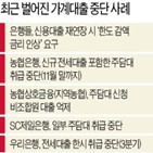 대출,금융위,중단,가계대출,은행,농협은행,취급