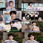 캐릭터,공식,토니미니,공개