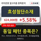 효성첨단소재,보이