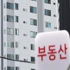 공급,상승세,시장,교수,영향,전문가,올해,계속