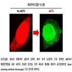 글로벌