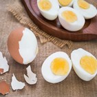 달걀,노른자,콜레스테롤,건강,식품,지방