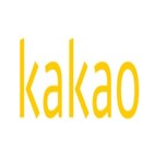 카카오,규제,대한,리스크