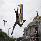 동성결혼,멕시코,합법화,허용