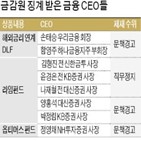 금감원,항소,회장,소송,제재,징계,금융,금융권,사모펀드