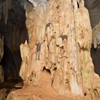 동굴,발견,추정,1만,말레이시아