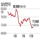 주가,실적,메모리,반도체,삼성전자