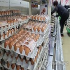 가격,달걀,품목,제품,상승