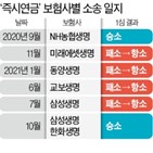 즉시연금,소송,보험사,약관,가입자,설명