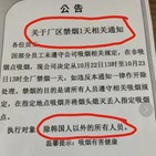 한국인,중국,매체