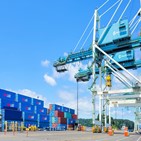 대비,전월,모두,소비