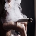 담배,전자담배,정책,일반,교수,규제,위해,대한