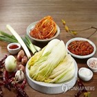 배추,이마트,절임,김장철