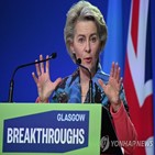 전세기,이용,집행위원장,폰데어라이,대해