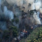 파괴,아마존,열대우림,브라질