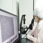 줄기세포,배아줄기세포,간엽,바이오텍