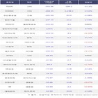외국인,200선물인버스2X