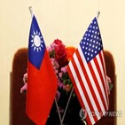 대만,미국,지난해,중국,화상,대화
