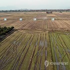 외국인,보유,토지,국적,상반기,가장