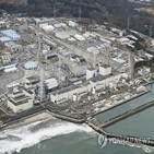 방류,오염수,일본,후쿠시마,도쿄전력,조사단,방일