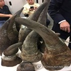 베트남,코뿔소,밀반입,범죄,선고