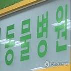 동물,진료,소유자