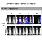 툴젠,기술,유전자