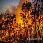당국,산불,재난,지역,웨스턴오스트레일리아주